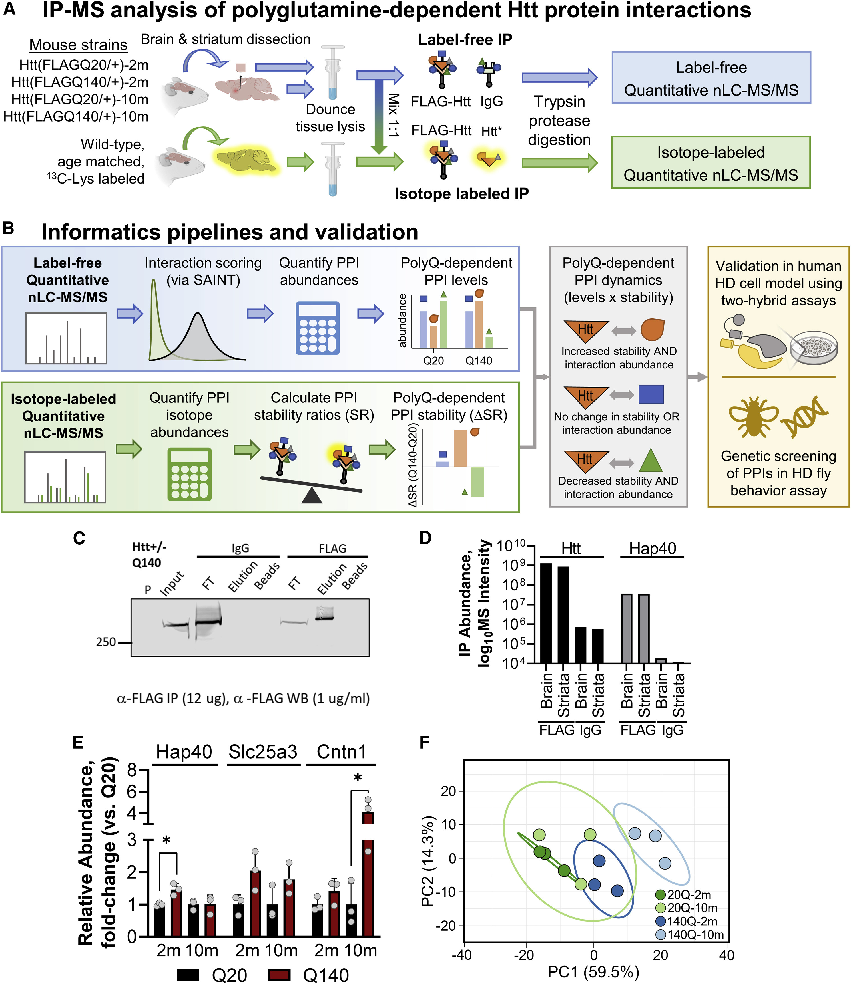 1879448799026991104-protein-and-protein-interaction-analysis-service2.jpg