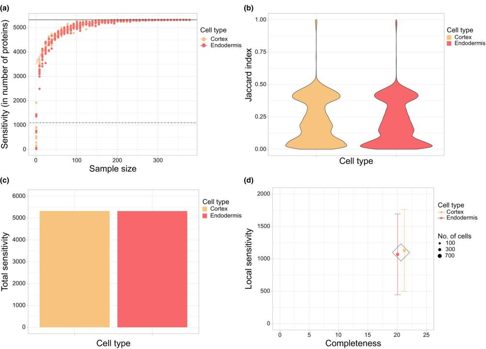 1879765672140550144-decoding-plant-roots-with-single-cell-precision-single-cell-proteomics-reveals-arabidopsis-cell-functions2.png