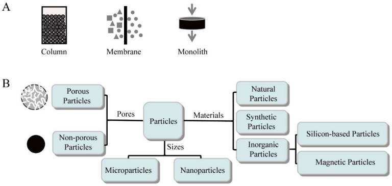 1879821219814559744-affinity-purification-services1.png