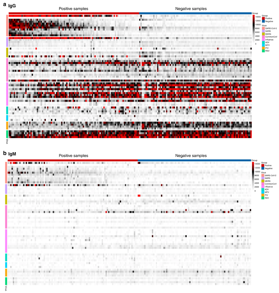 1880134458171576320-protein-array-analysis-service2.png