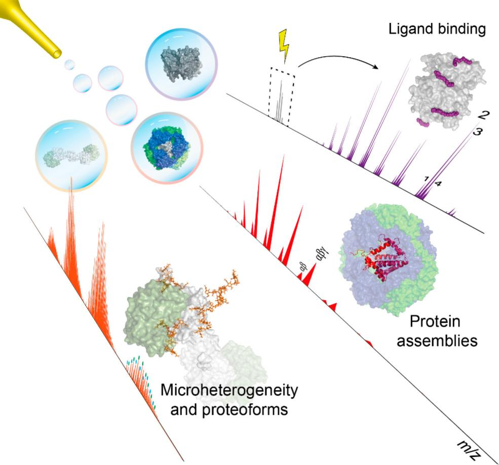 1880169428550275072-native-mass-spectrometry-analysis-service1.png