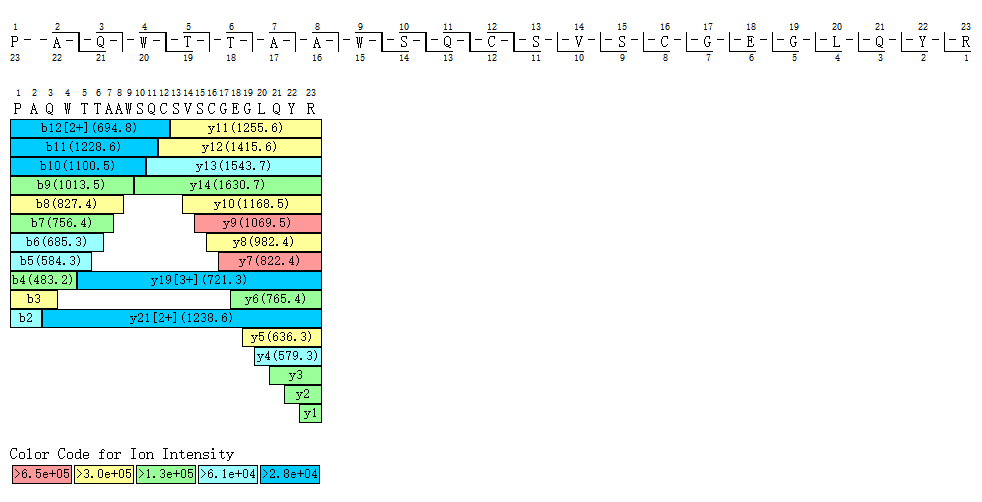 1880181079462760448-n-terminal-sequencing-services1.png
