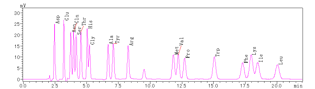 1880181418958114816-n-terminal-sequencing-services3.png