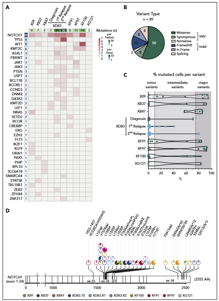 1881209870272286720-single-cell-dna-sequencing-service2.PNG