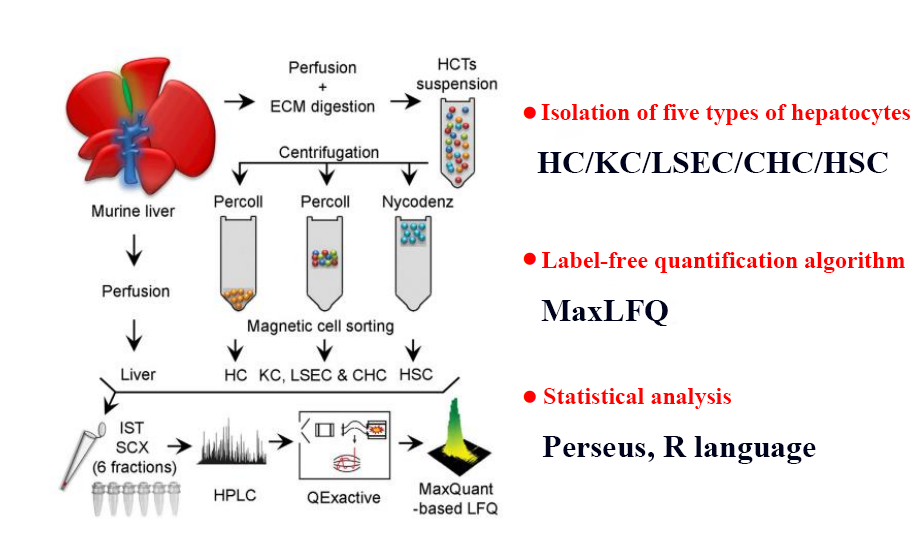 1881262360531423232-molecular-cell-proteomics-service3.png