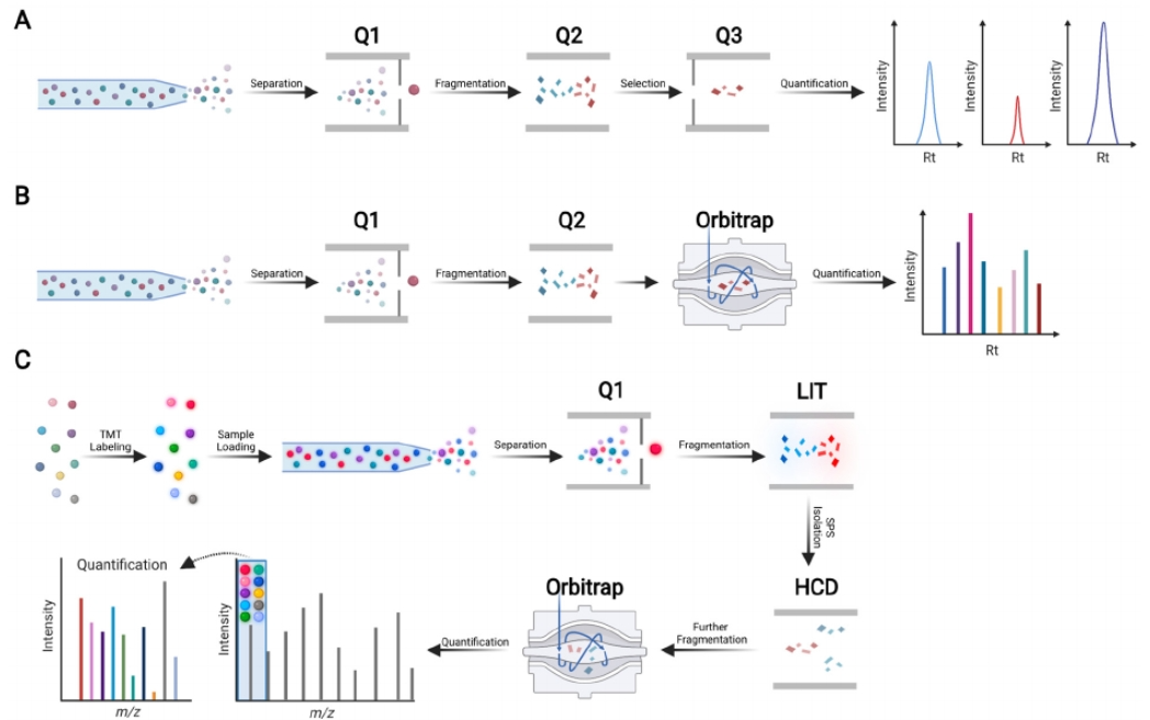 1881270782161178624-targeted-mass-spectrometry-service1.png
