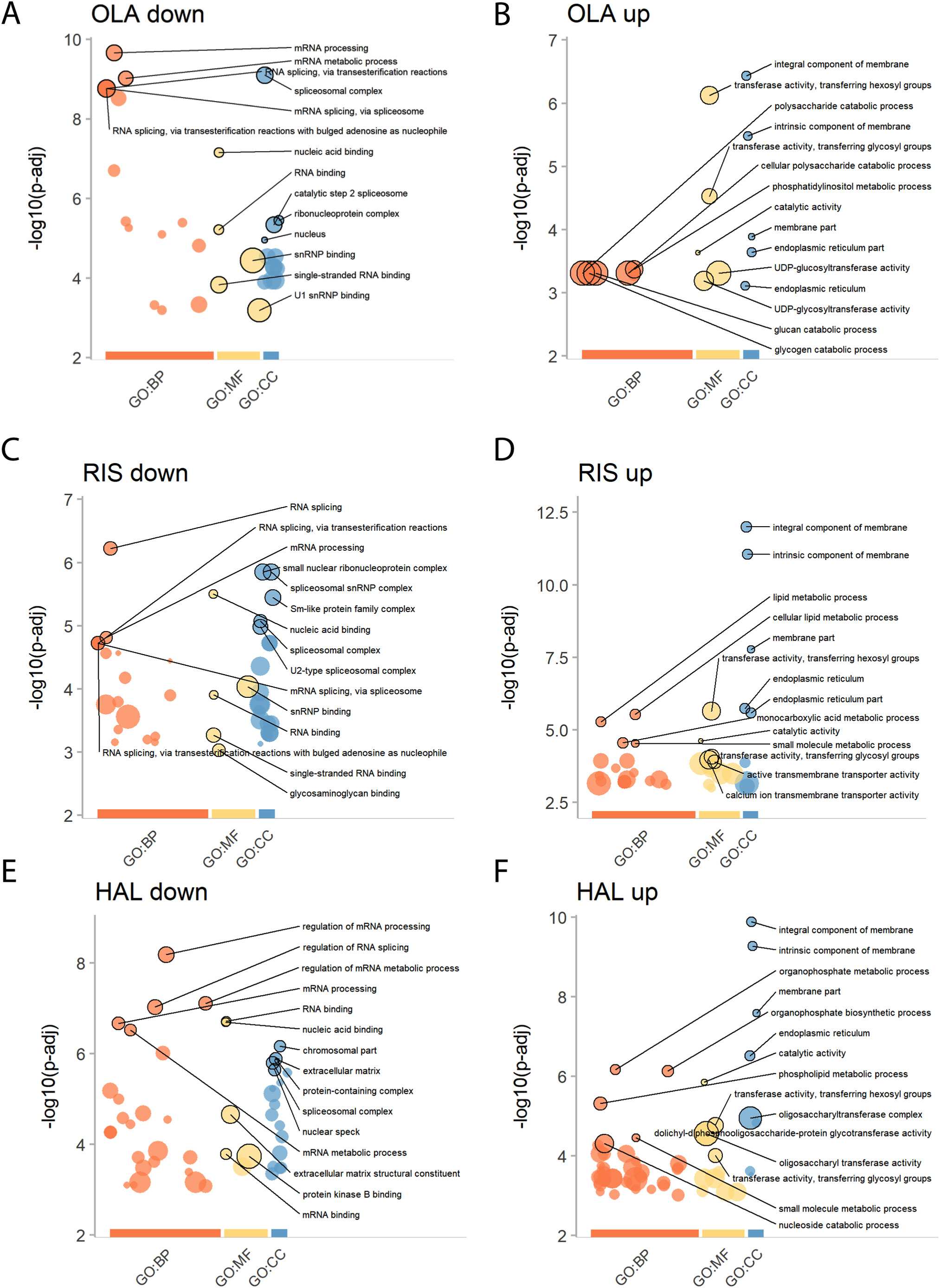 1881272446939156480-untargeted-proteomics-service2.png