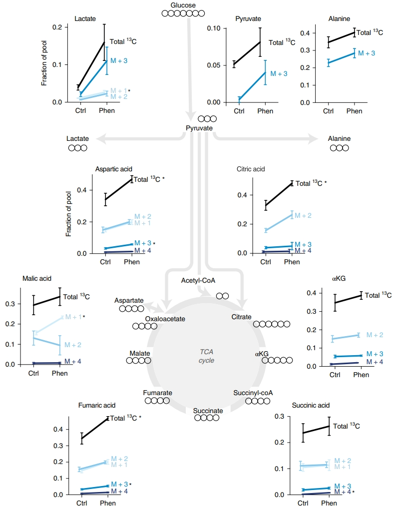 1881273836189110272-stable-isotope-labeling-service1.png