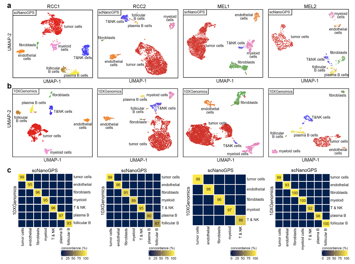 1881596134276321280-single-cell-long-read-sequencing-service2.PNG