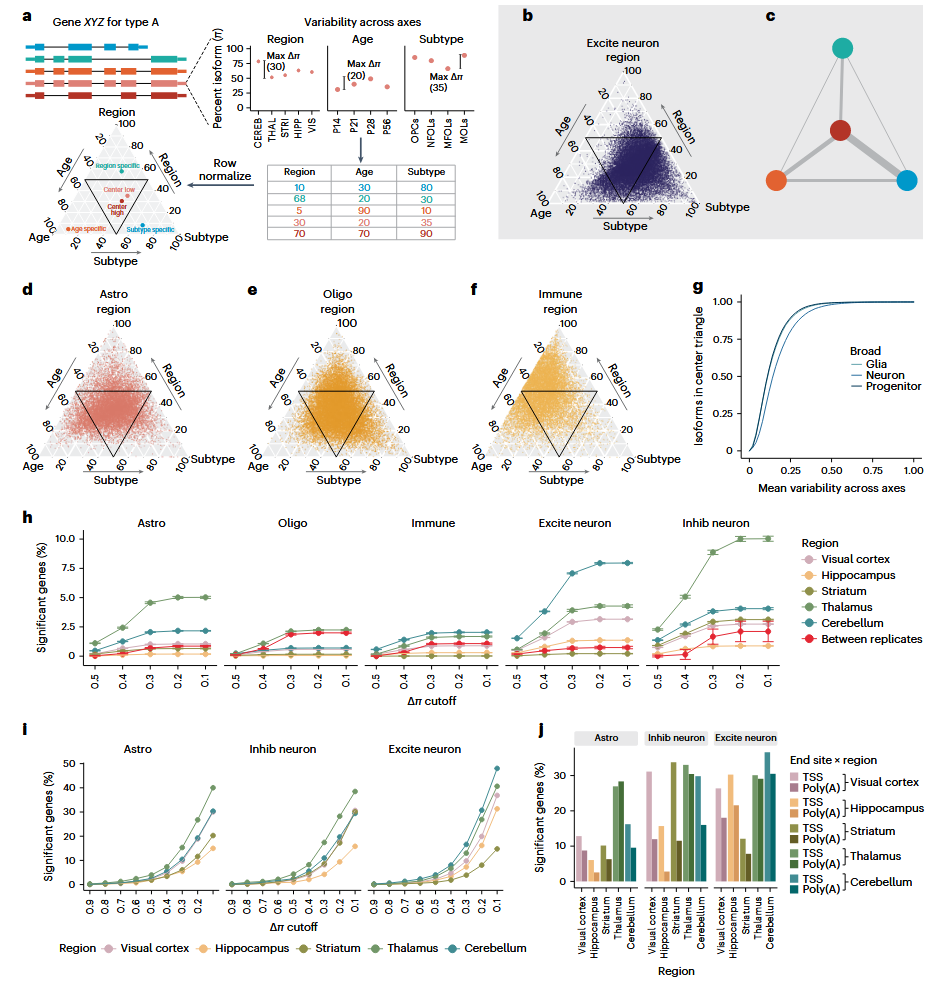1881596238043402240-single-cell-long-read-sequencing-service3.PNG