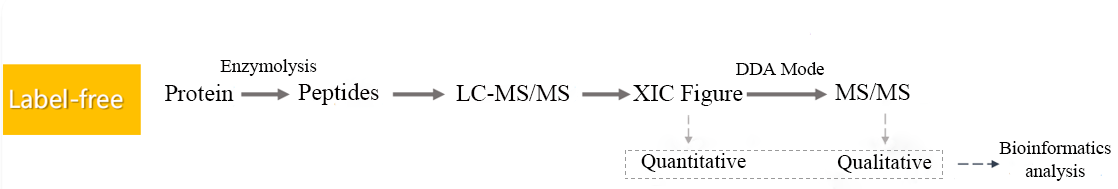 1881622110989307904-label-free-analysis-service2.png