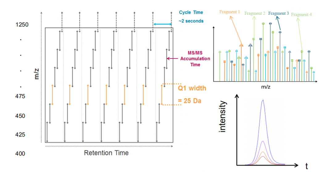 1881622267222937600-label-free-analysis-service3.png
