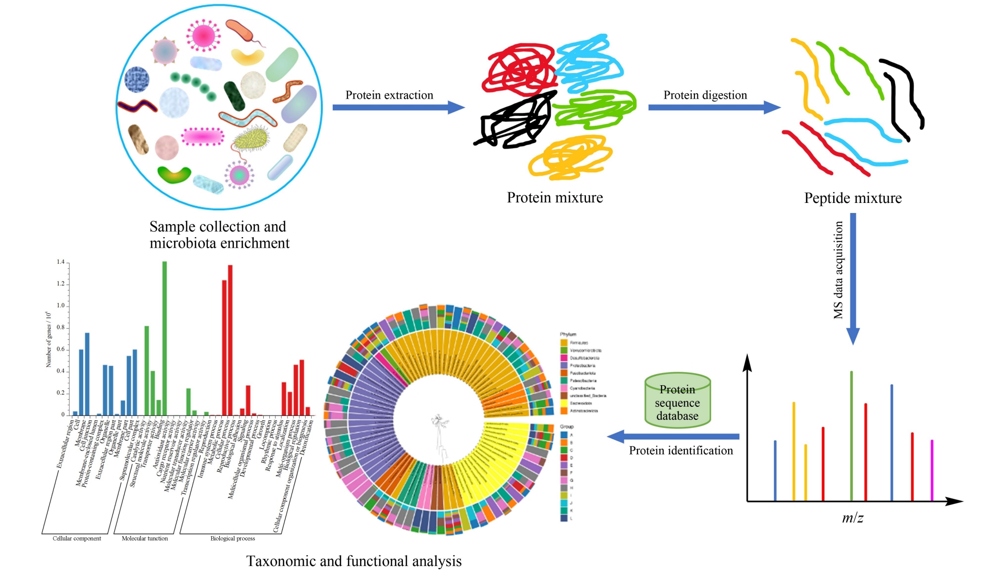 1881881033684144128-metaproteomics-analysis-service1.jpg