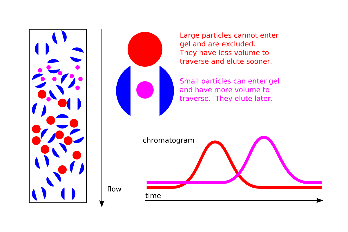 1881904699507593216-protein-characterization-assays-service1.png