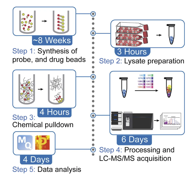 1881908697392336896-protein-characterization-assays-service5.png