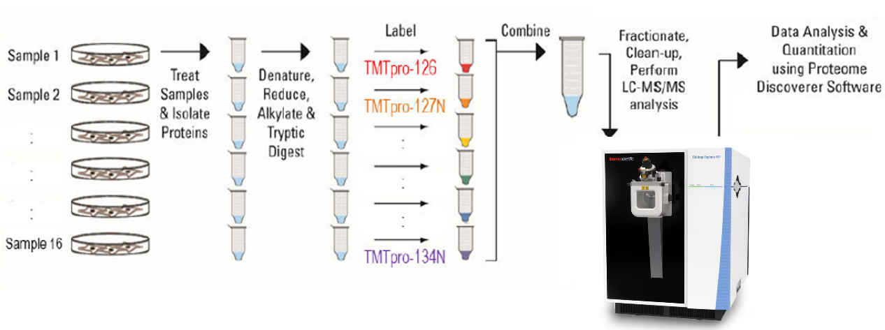 1882336947142774784-tmt-mass-spectrometry-service1.png