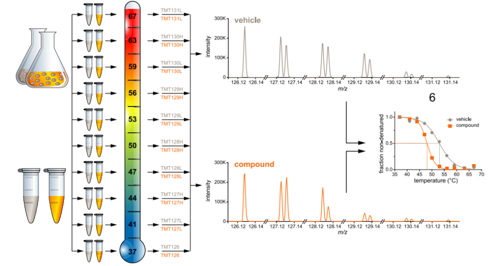 1882346888284983296-target-identification-for-drug-discovery-service1.png