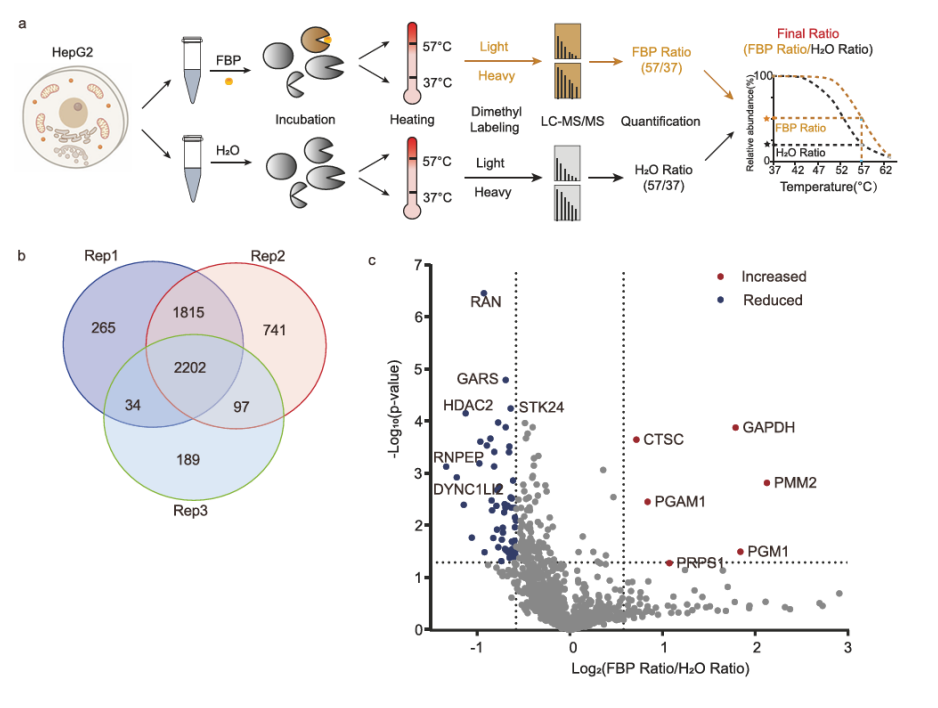 1882347122792714240-target-identification-for-drug-discovery-service2.png