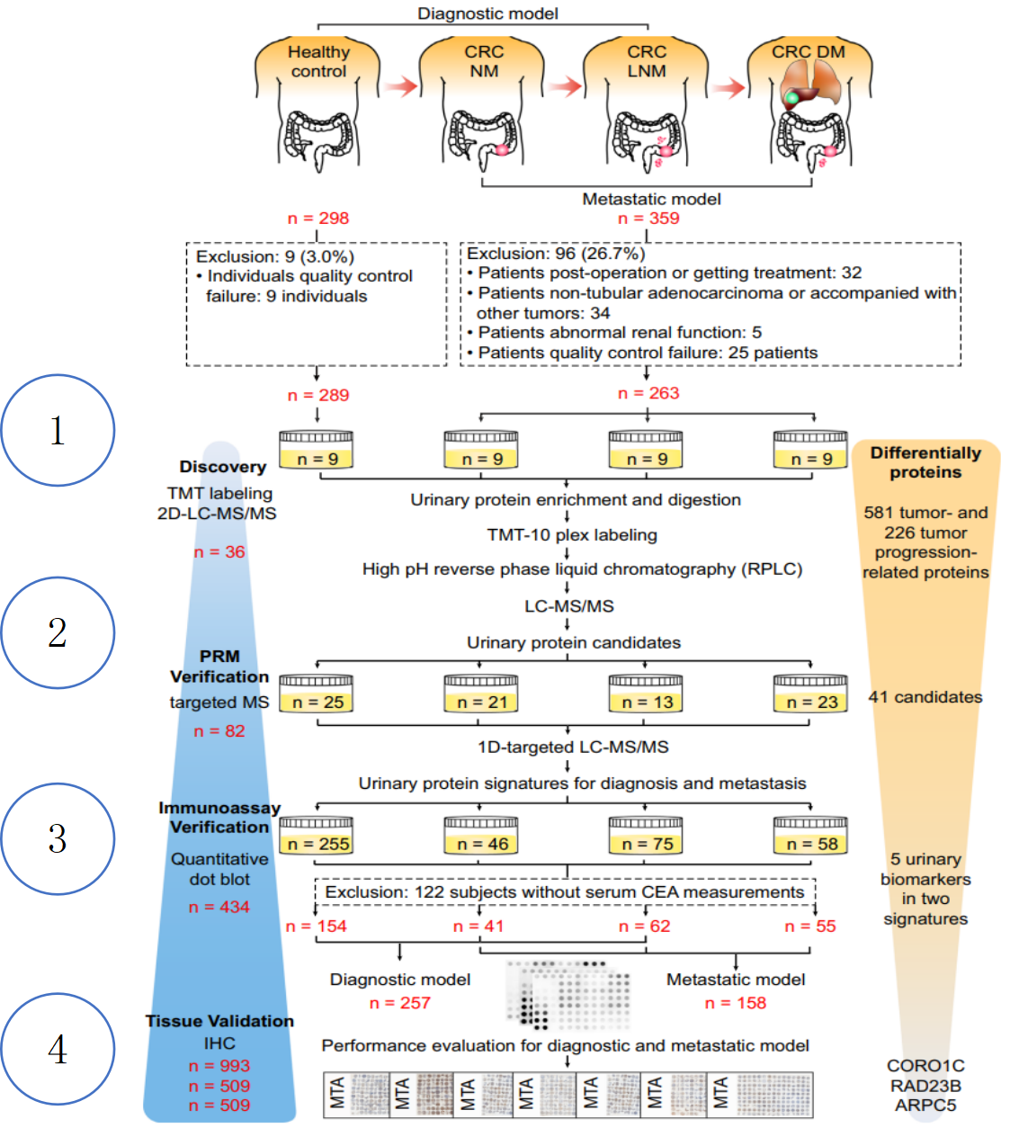 1882681050279825408-tmt-labeling-proteomics-analysis-service2.png