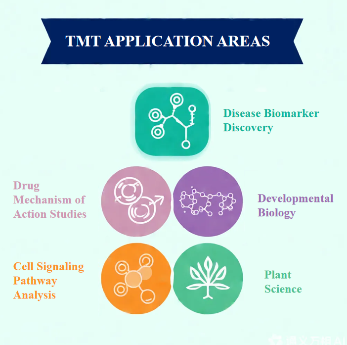 tmt-proteomics-analysis-service1.png
