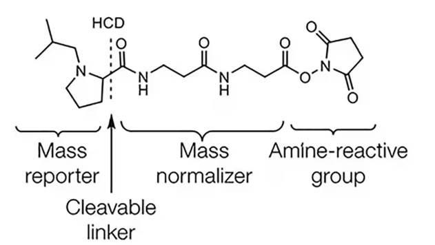 tmt-proteomics-analysis-service2.png