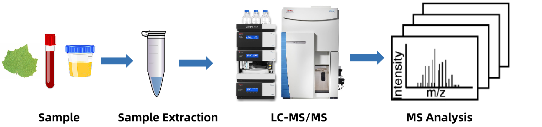 1882965913297866752-mass-spectrometry-quantification-service1.png