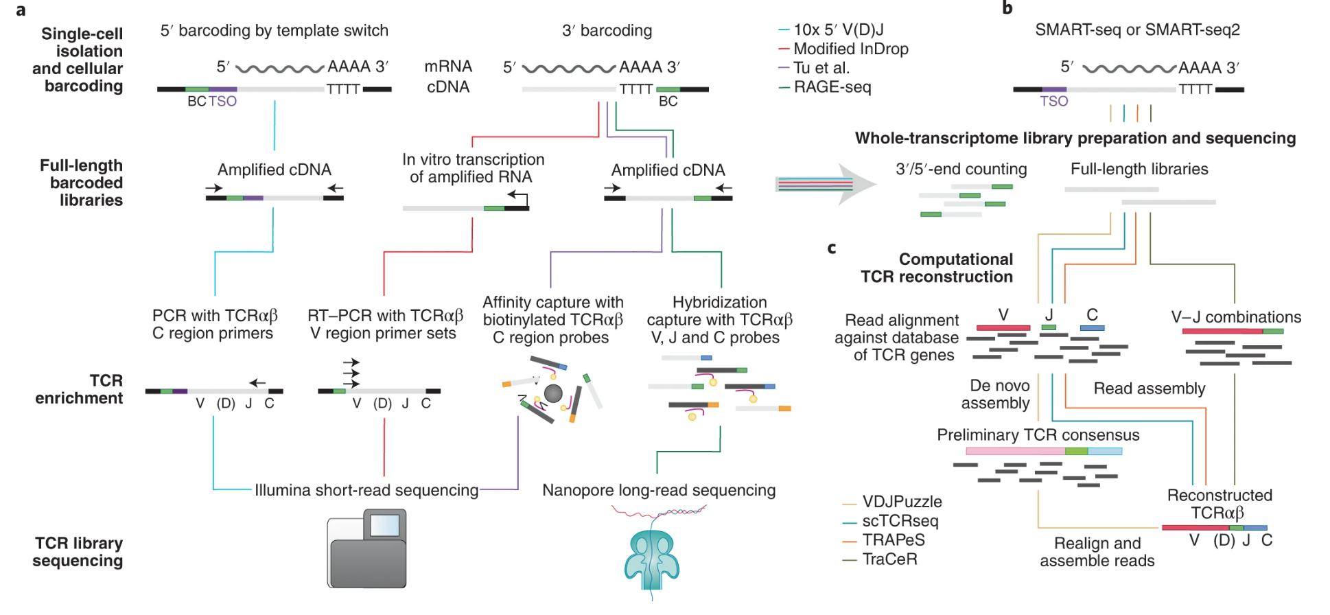 1886977954698350592-10x-tcr-sequencing-service2.png