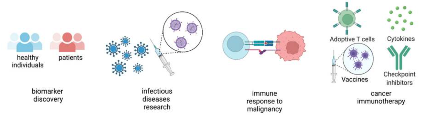 1886979915678076928-10x-tcr-sequencing-service3.png