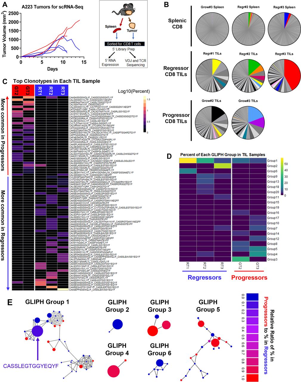 1887018311683264512-10x-tcr-sequencing-service4.jpg