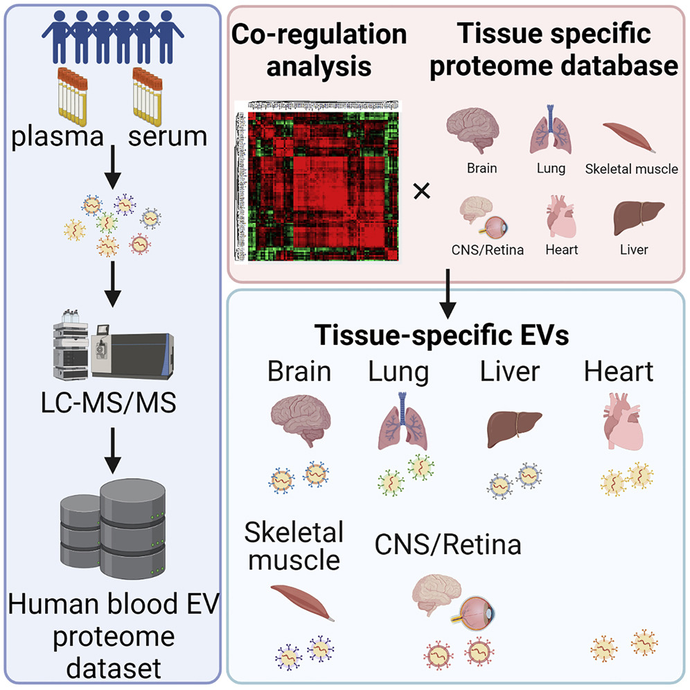 1887019876183822336-high-throughput-proteomics-service3.png