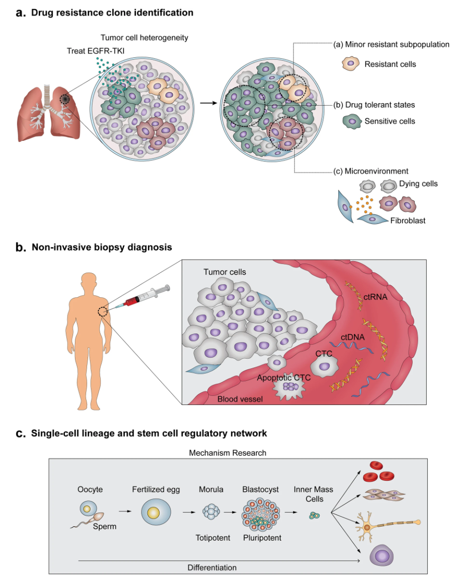 1887034658320404480-10x-single-cell-rna-seq-service1.png