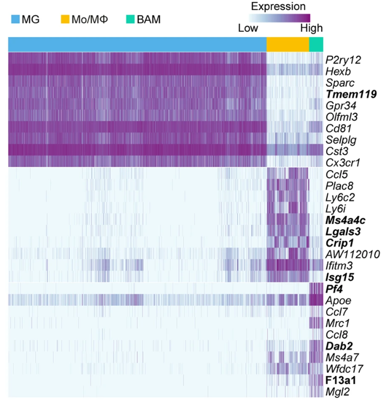 1887064757916782592-10x-single-cell-rna-seq-service4.png