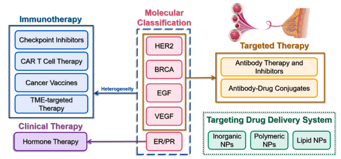 1887313846671626240-targeted-drug-delivery-systems-service3.PNG