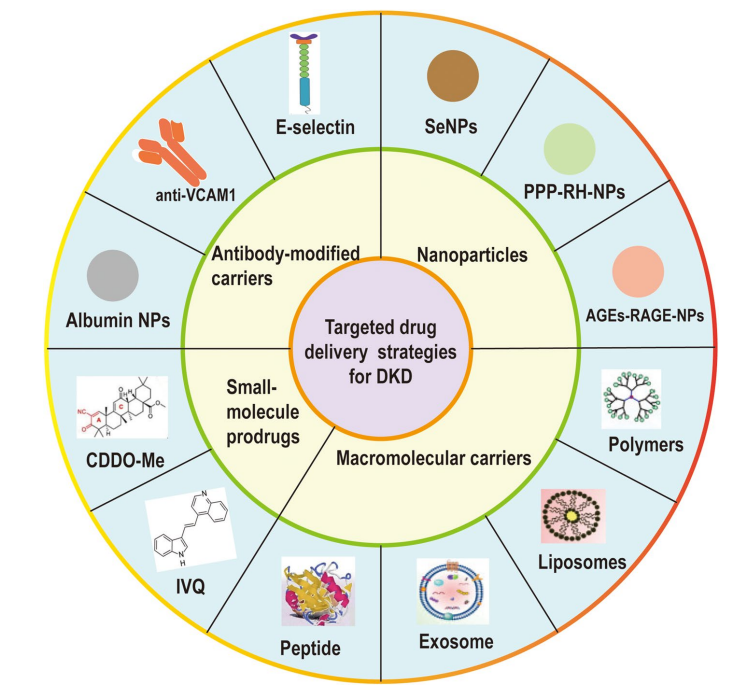 1887313976300785664-targeted-drug-delivery-systems-service4.PNG