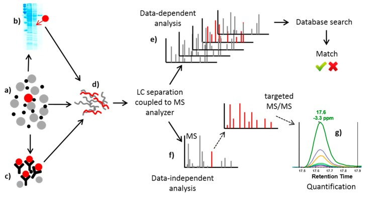 1887333904630272000-lc-ms-protein-analysis-service1.png