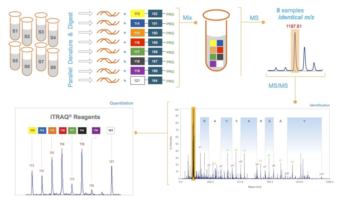 1887341362551574528-itraq-analysis-service2.png