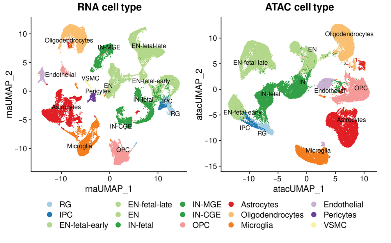 1887389833384022016-10x-multiome-sequencing-service2.png