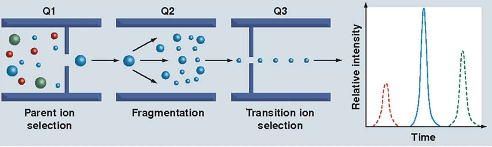 1887399550219046912-mrm-mass-spec-service1.png
