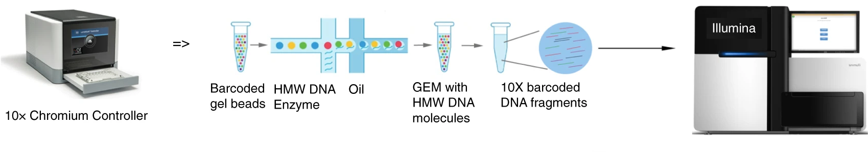 1887424789850214400-10x-genomics-illumina-sequencing-service1.png