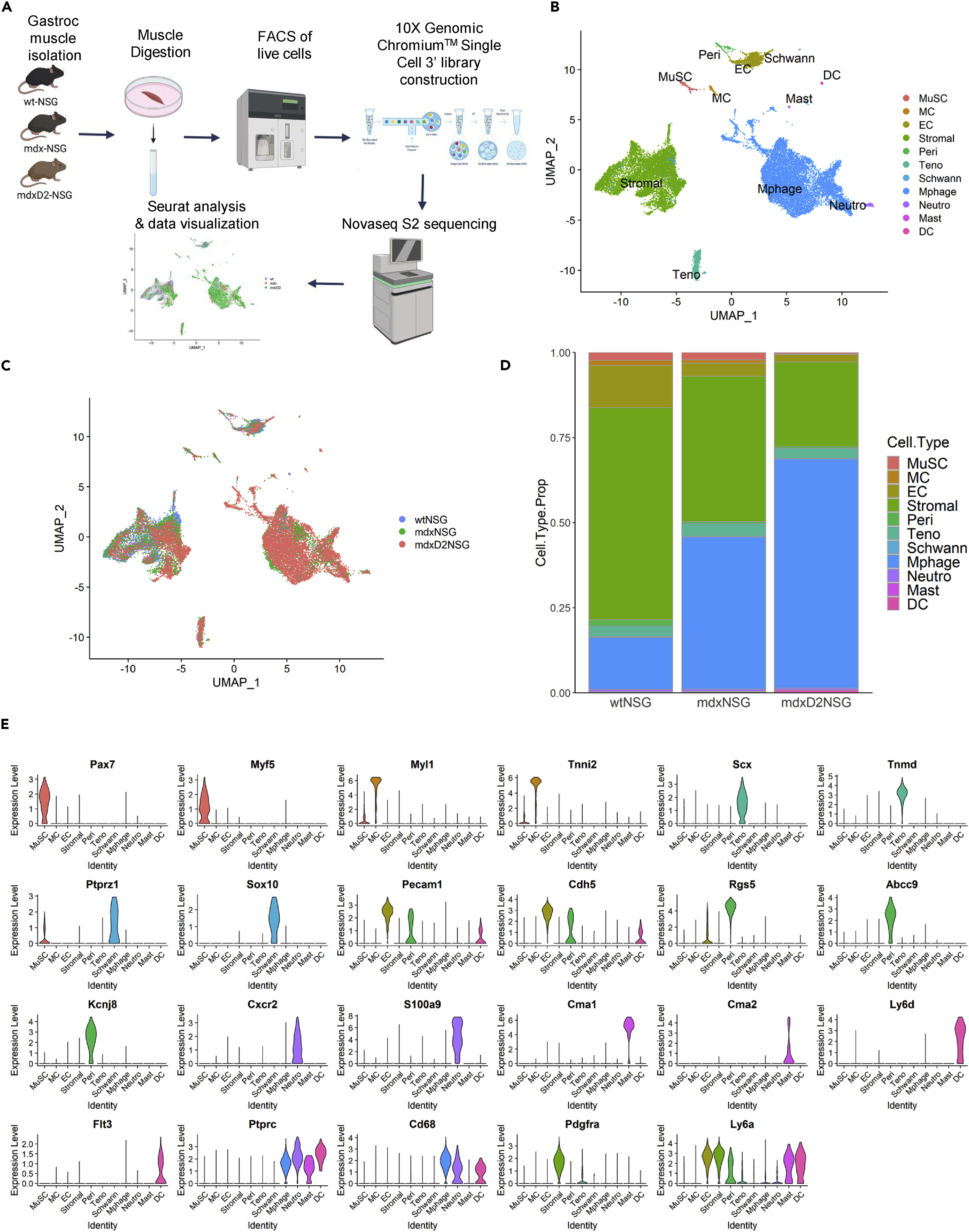 1887425699825438720-10x-genomics-illumina-sequencing-service2.jpg