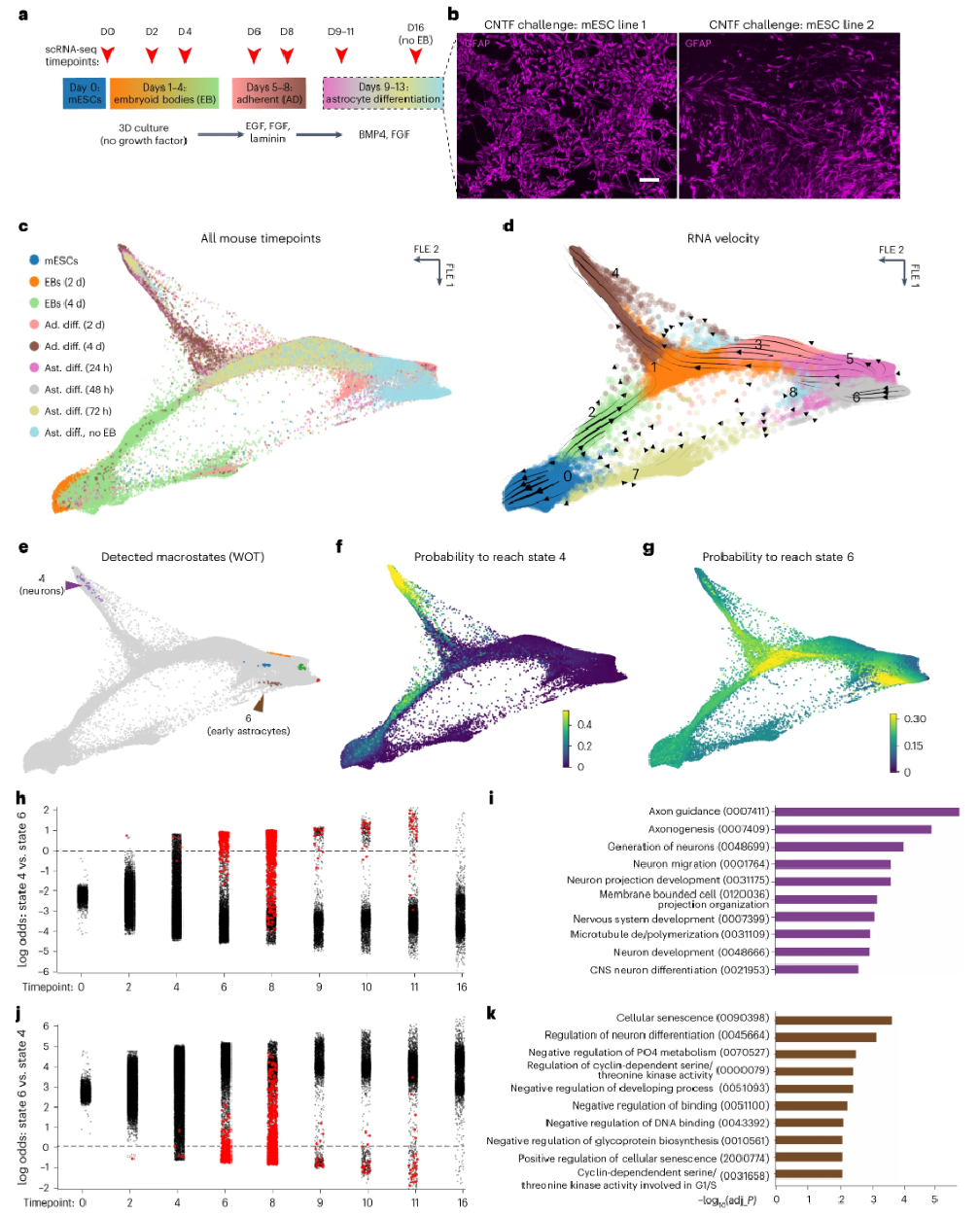 1887732680280887296-10x-rna-sequencing-service3.png