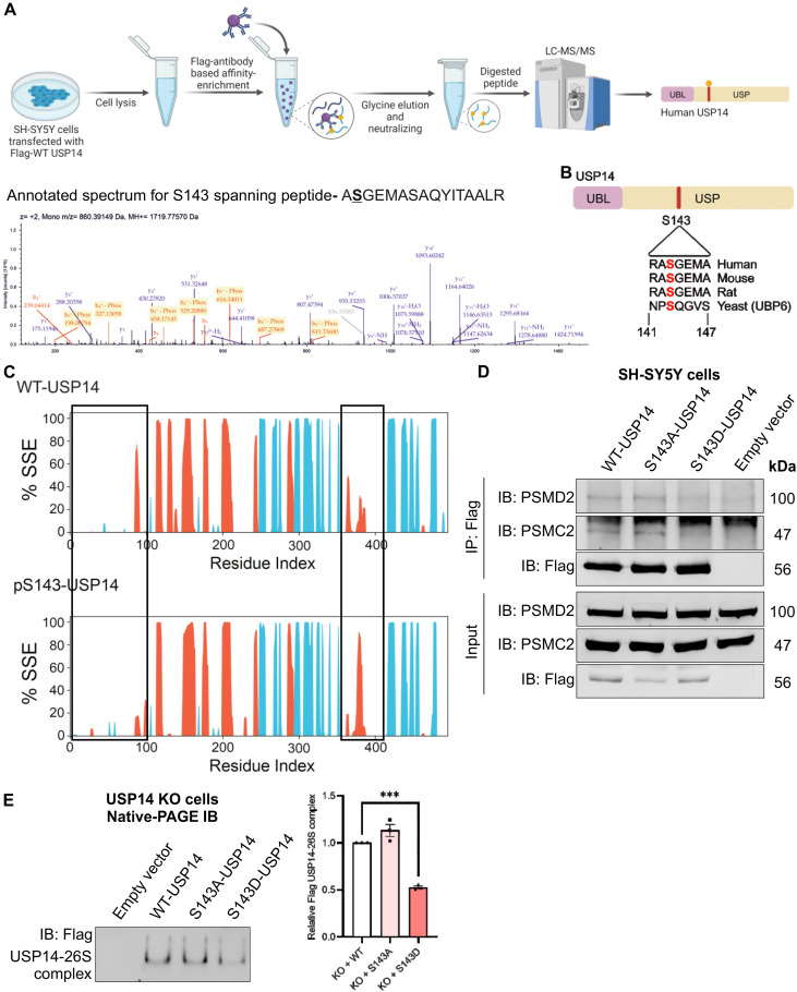 1887784709925752832-mass-spectrometry-for-proteins-analysis-service2.jpg