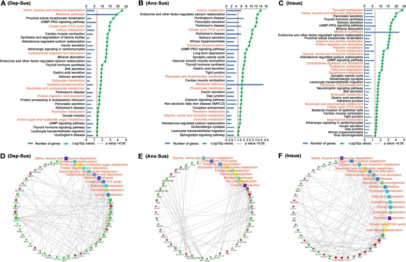 1887787920657076224-proteomics-pathway-analysis-service1.png