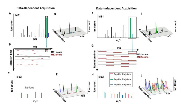 1887790160553824256-dia-mass-spec-analysis-service1.png