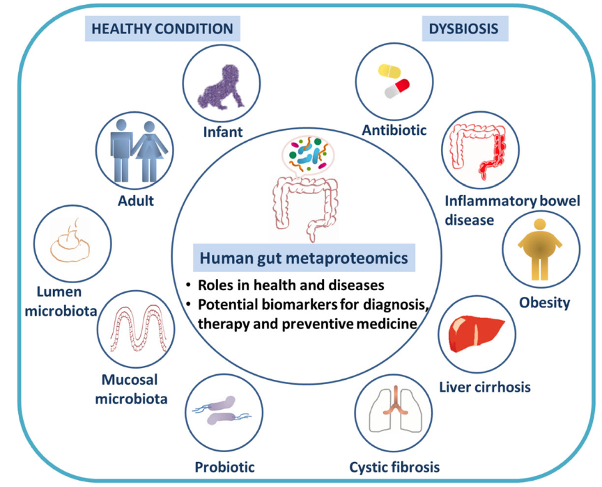 1888039796422070272-fecal-proteomics-solutions1.PNG