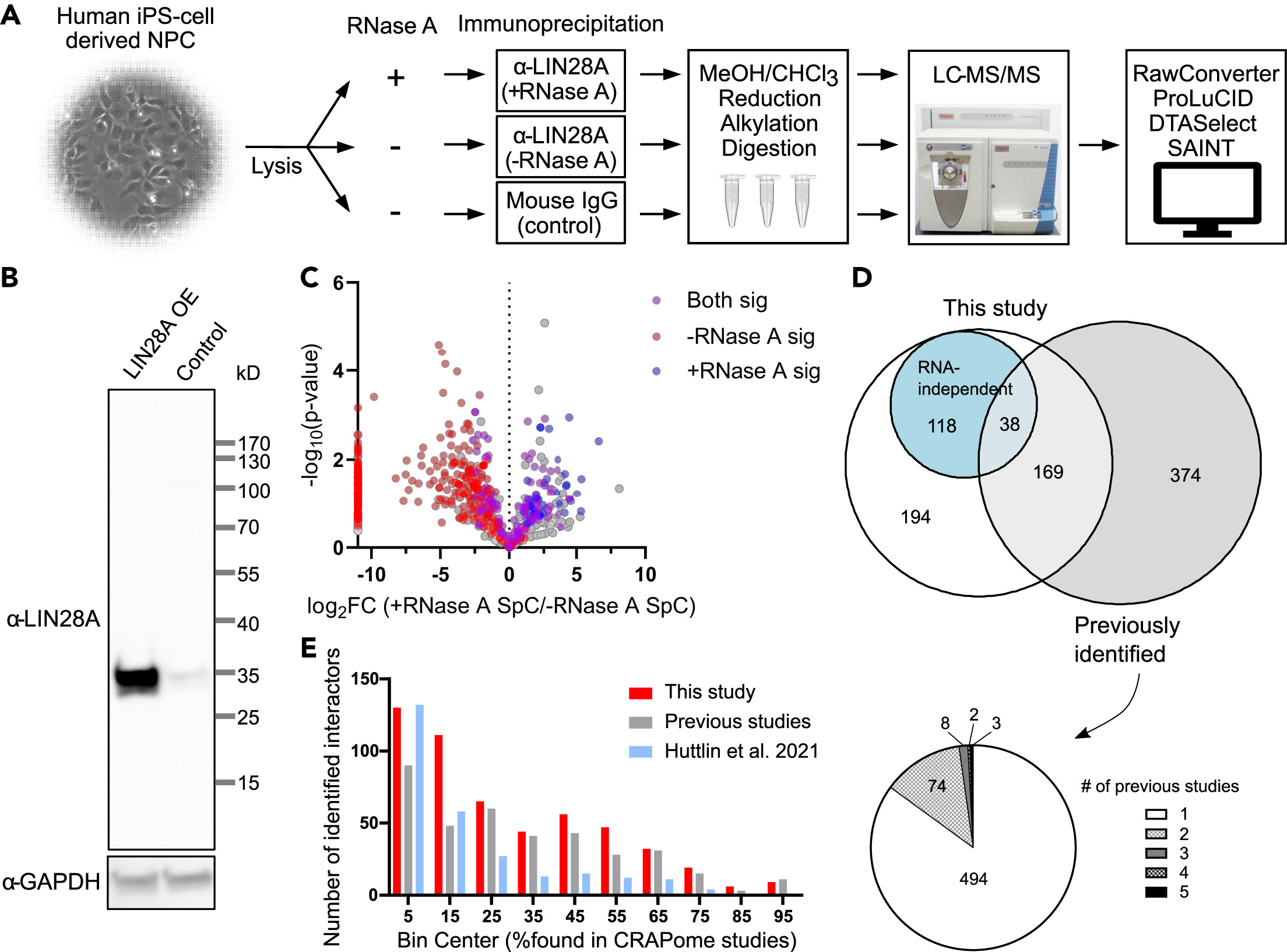 1888149236248858624-large-scale-protein-identification-service2.jpg