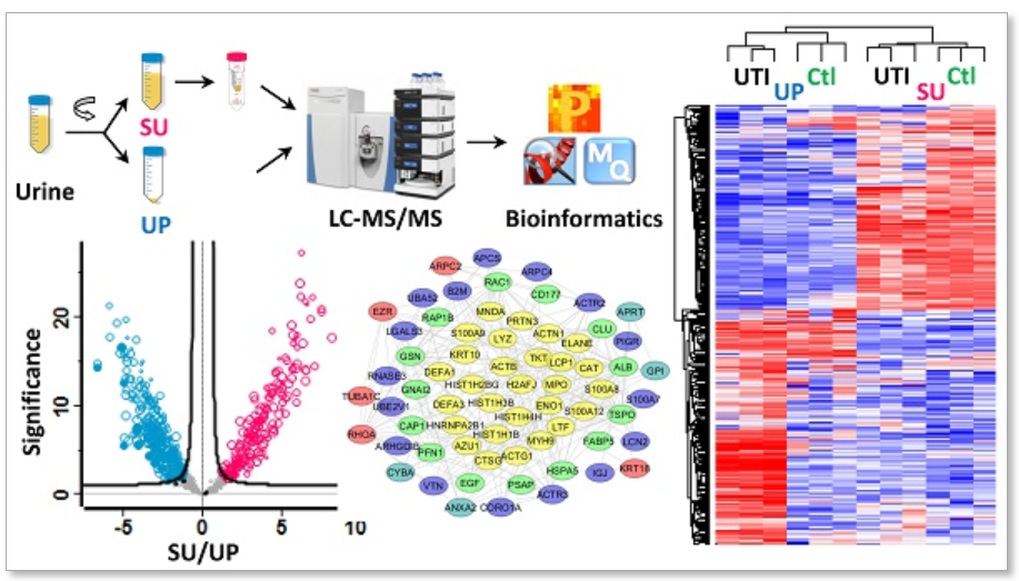 1888148593043951616-clinical-proteomics-research-solutions2.png