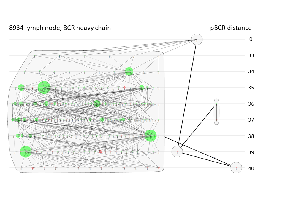 1888156919932768256-10x-vdj-sequencing-service3.png