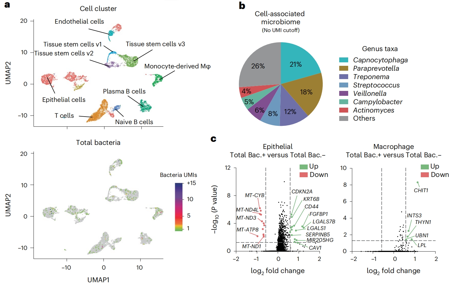 1888158117196845056-10x-single-cell-sequencing-service2.jpg