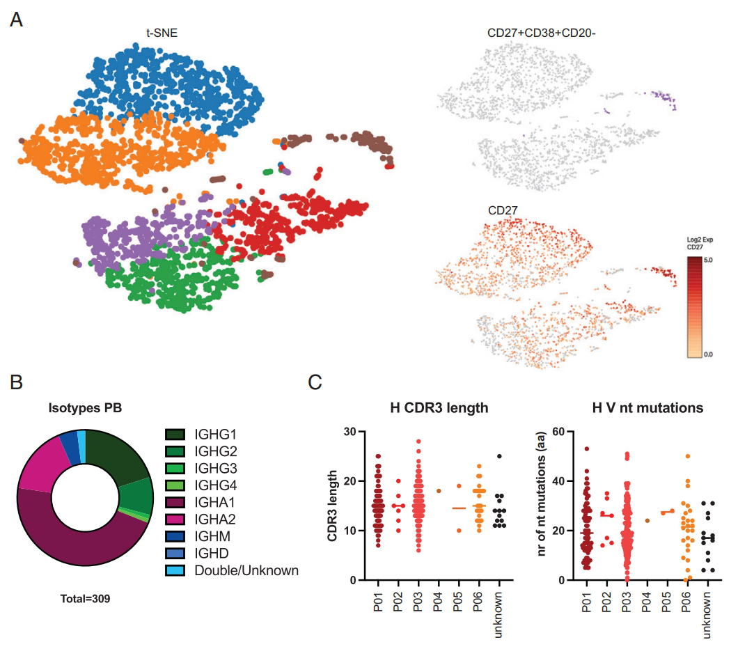 1888159415866609664-10x-genomics-sequencing-service2.png